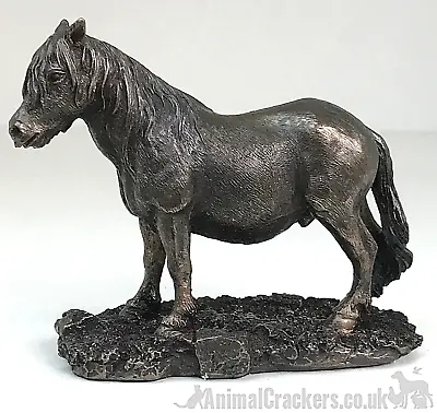 £18.95 • Buy Quality Cold Cast Bronze Shetland Pony Ornament Figurine Horse Lover Gift, Boxed