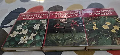  3 Vol Wayside & Woodland Blossoms  By Edward Step (1963 Editions)VG Condition. • £25
