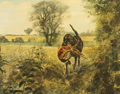 HENRY WILKINSON (1921-2011) Large Oil Painting Of A Black Labrador & A Pheasant • £995
