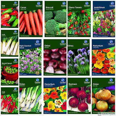  Garden Treasures Vegetable Herb & Flower Seeds Quantity Discounts  Free Postage • £1.49