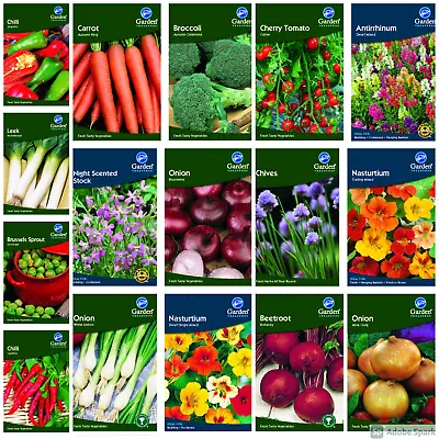 £1.25 • Buy Vegetable Flower Seeds Tomato Herb Seeds Grow Your Own Garden Treasures