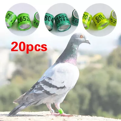 20Pcs Birds Rings Racing Pigeon Leg Bands Parrot Canary Rings Name Phone Logo • £2.27