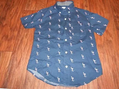 CrewCuts J. Crew Boys Button Down Shirt Size 10 MINT Cond • $10