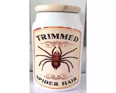 Trimmed Spider Hair Witchy White Ceramic Storage Jar Witchy Gifts • £15