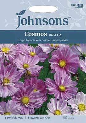 Cosmos Rosetta  20 Fresh Seeds    Cosmos Seeds    Flower Seeds    Mr Fothergills • £2.65