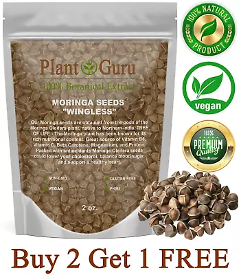 $6.99 • Buy 200 Moringa Oleifera Seeds 2 Oz. WINGLESS Fresh Organic Semillas De Moringa Tree