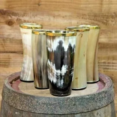 Game Of Thrones Viking Drinking Horn Mugs Set Of 5 For Beer Ale Wine XMAS Git • £75.04