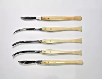 5 Antique Snowden Bone Handle Surgical Medical Instruments - Civil War Era? • $132.50