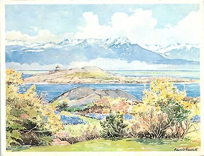 Olympic Mountains Vancouver Island BC Edward Goodall Painting POSTCARD B67 • $7.19