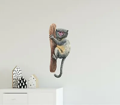 Dwarf Marmoset Monkey Removable Vinyl Wall Decal Sticker Safari Jungle Animal • $36.99