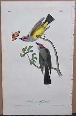 Arkansaw Flycatcher Audubon 1st Edition 1840 Hand Colored  Litho J.t.bowen • $59.95