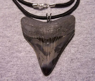 MEGALODON Shark Tooth TEETH Necklace 2 3/4  Fossil Jaw Teeth Pendant SERRATED • $59