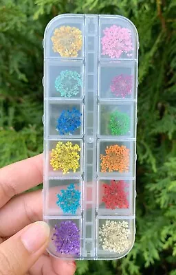 12 Colors Real Dried Flowers 3D Nail Art Decors Design DIY Set - New In Box • $7.50