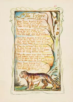 The Tyger William Blake Tiger Wall Art Poster Print • £3.99