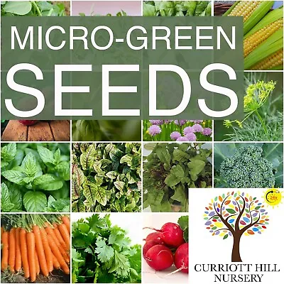 £1.80 • Buy Seeds /Micro Greens, Micro Herbs, Sunflower Sprouts, Salad Sprouts, Microgreens