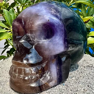 3.93LB  HNatural Fluorite Skull Quartz Hand Carved Crystal Skull Healing • $0.99