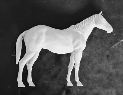 Bare Horse 1 - 90mm • £24