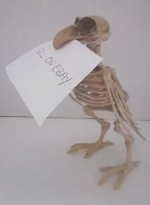 Halloween Poseable Bird Skeleton & Statue 5  X 7  Prop Decor Card Holder New! • $5