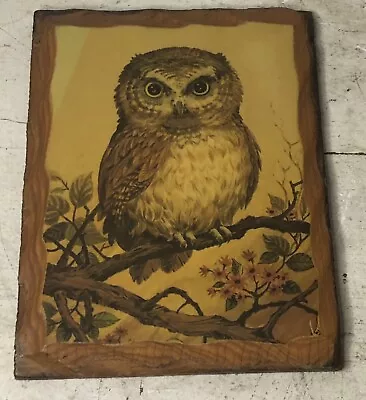 Vintage Retro Mid Century Lacquered Wood Owl Wall Plaque 8.5”x6.5” Home Decor • $13.45