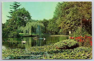 Vintage Canada Postcard Beacon Hill Park Vancouver B.C. • $3.99