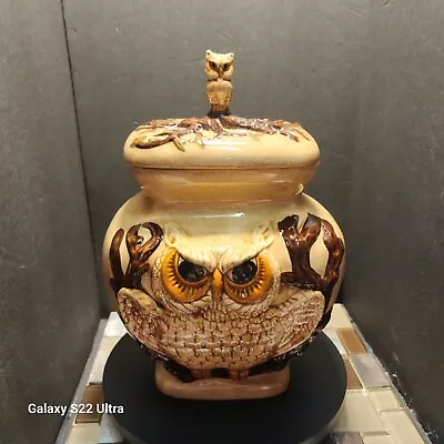 Vintage Ceramic Owl Canister Ginger Jar Cookie Jar KY Mold 1973 • $35