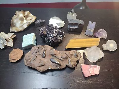 Mineral Gemstone Fossil Specimen Lot • $30