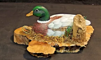 Hand Crafted Figural Drake Mallard Duck Nesting On Burl Wood Base Sculpture • $9.95