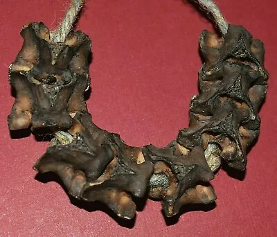 Antique African Snake Bone Vertebrae African Tribal Protection Beads From Africa • $29.92