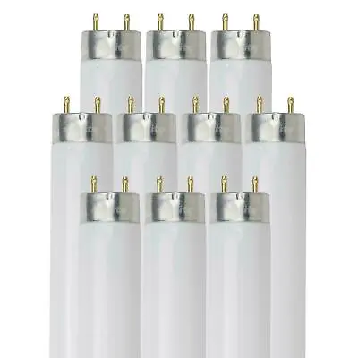 NEW F17T8 Fluorescent 2' Foot 17W T8 Light Bulbs 4100K Cool White 5000K Daylight • $28.99