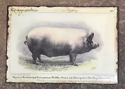 Vintage Distressed Pig Metal Sign- 11 1/4” X 7 3/4” • $25.99