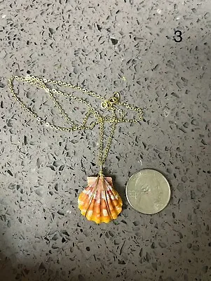 Sunrise Shell Necklace With 14k Filled Chain And Wire Super Nice Color 🩷 • $85