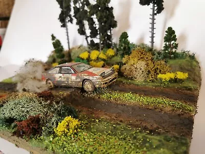 Toyota Rally Diorama  • £25