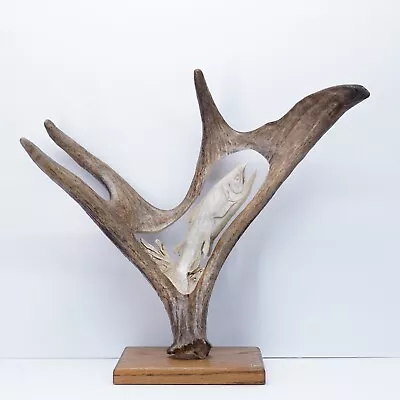 Alaska Hand-Carved King Salmon On Bison Moose Antler Art Sculpture - Man Cave • $429.59