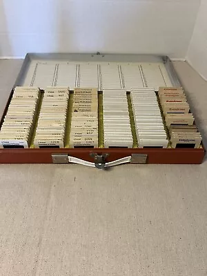 Lot Of 200+ Vintage Microscopic Medical 35mm Slides Parasitology • $35