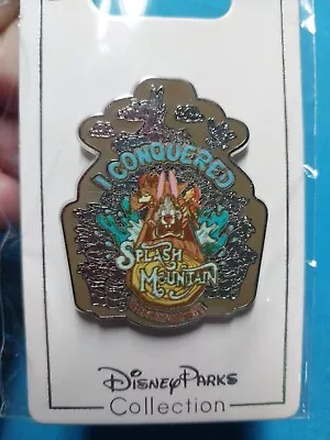 Splash Mountain Disney Parks Trading Pin “I Conquered Splash Mountain” • $14.99