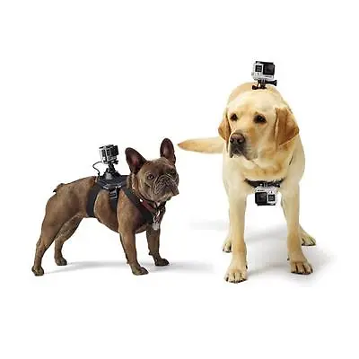 $21.38 • Buy Pet Dog Fetch Harness Chest&Back Strap Belt Mount For GoPro Hero 3 5 6 7 8 9 10