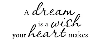 A Dream Is A Wish Your Heart Makes Vinyl Decal • $9.99