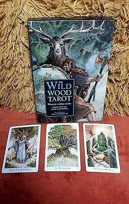 Tarot Reading - Wild Woods Tarot Deck Reading • £5