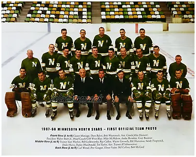 NHL 1967 - 68 Minnesota North Stars 1st Team Photo  Color 8 X 10 Photo Picture • $5.99