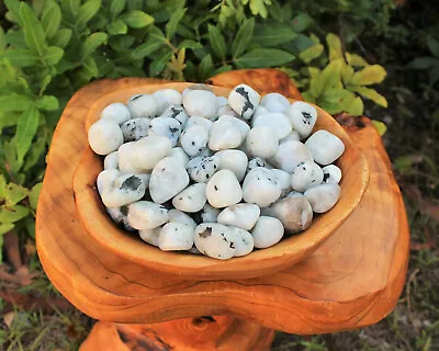 1 Lb Bulk Lot Rainbow Moonstone Tumbled Stone Crystal Healing Energy (16 Oz) • $33.75