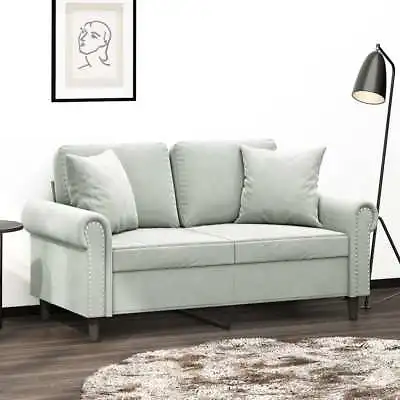 2-Seater Sofa With Cushions Lounge Couch Futon Chair Velvet Fabric Grey 120cm • $336.01