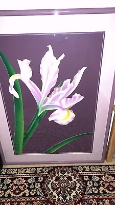 Brian Davis  Iris 3  Hand Signed Original Limited Edition Art Framed #244 • $400