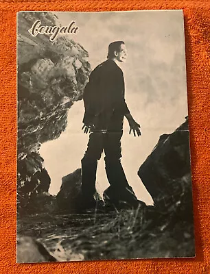 Frankenstein Boris Karloff Original Spanish Pressbook Uncut • $41.99