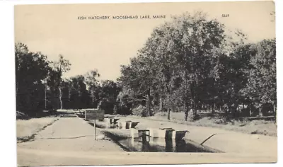 Vintage Postcard Fish Hatchery 1920s Moosehead Lake Maine • $8.54