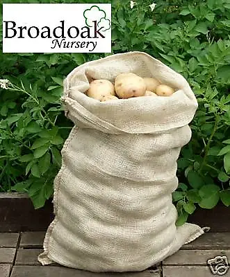 £3.25 • Buy Jute Hessian Potato Vegetable Storage Sack 50 X 78cm, Hessian Sacks, Veg Bags