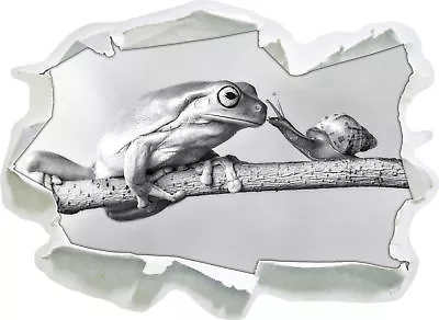 The Frog And The Snail Art B&W - 3D Look Paper Wall Tattoo Sticker - Stic • £17.20