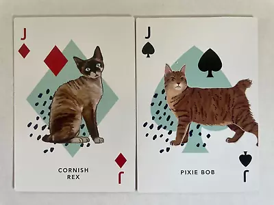 Cornish Rex Pixie Bob Top Cat Kitten Artist Cartoon Artwork Playing Swap Cards J • $4