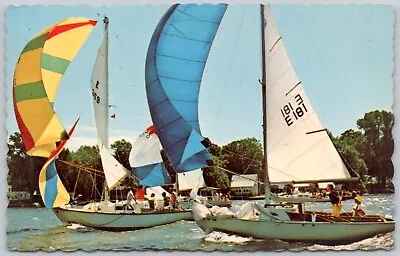 Postcard MI Holland Michigan Lake Macatawa Yacht Club Sailing P7D • $5.99