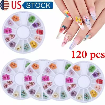 12 Colors Real Dried Flowers 3D Nail Art Decors Design DIY Tips Manicure Box Set • $11.69