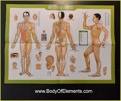 Acupuncture Acupressure Meridian Points Pathways Chart Chinese • $9.95
